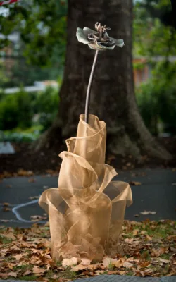 Feeling the Infinite by Jackie Mackinnon