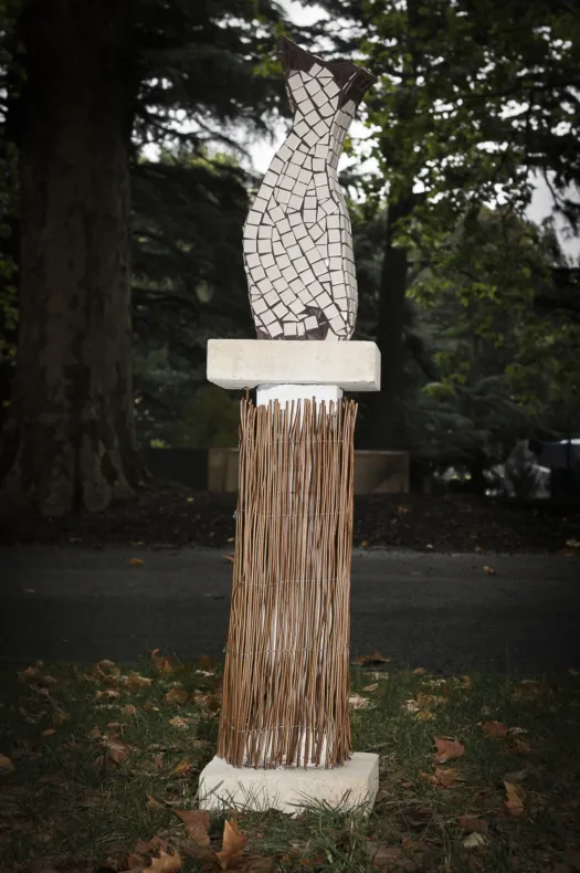 Feline by Bronwyn Culshaw