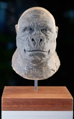 Female Gorilla study by Martin Moore