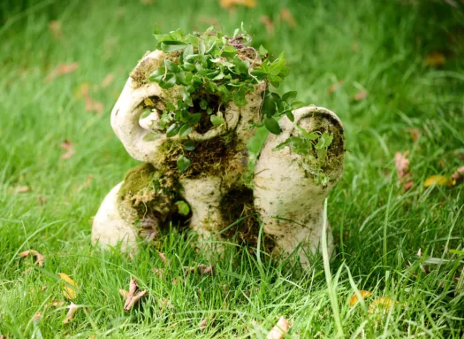 Fertile Echo by Ioanna Thymianidis