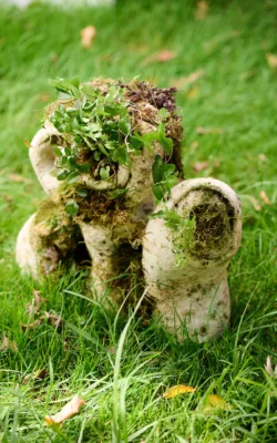 Fertile Echo by Ioanna Thymianidis