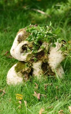 Fertile Echo by Ioanna Thymianidis