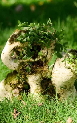 Fertile Echo by Ioanna Thymianidis