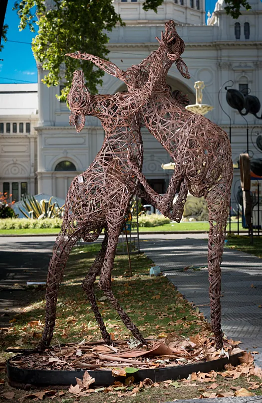 Fighting Roos by Jo  Caminiti