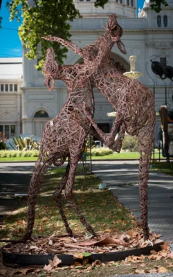 Fighting Roos by Jo  Caminiti