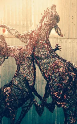 Fighting Roos by Jo  Caminiti