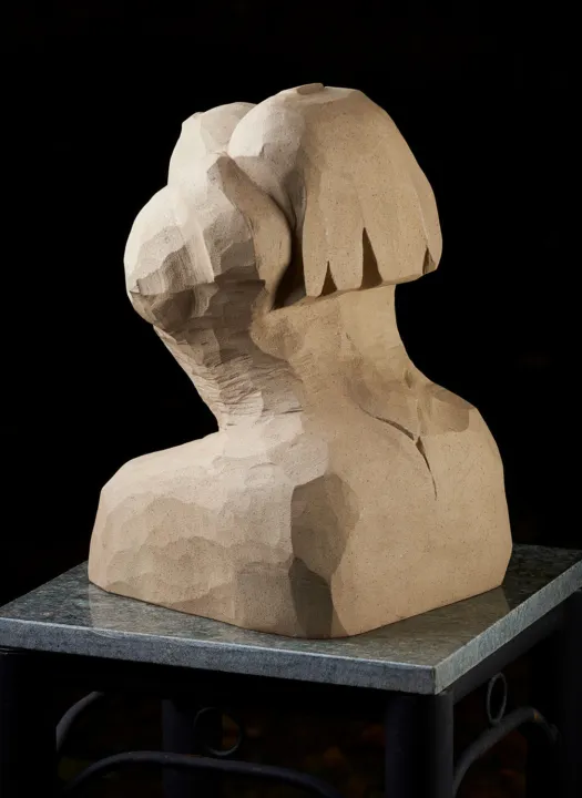 Figure by Anthony Kim