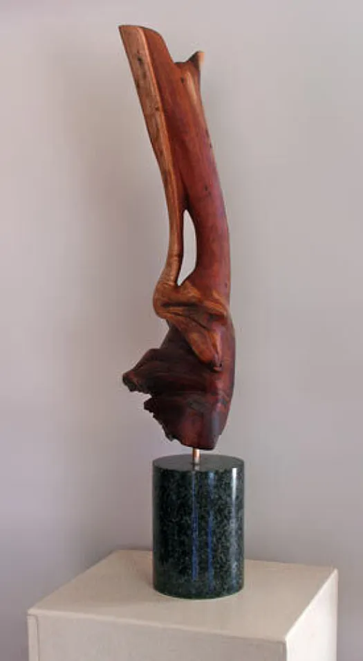 Firebird by Kevin Free