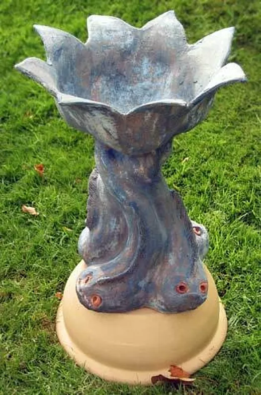 Fish Bath by Meredith Plain