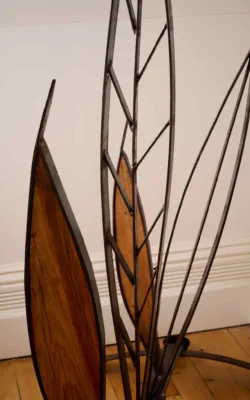 Five Viminalis Leaves by Graeme Hardidge