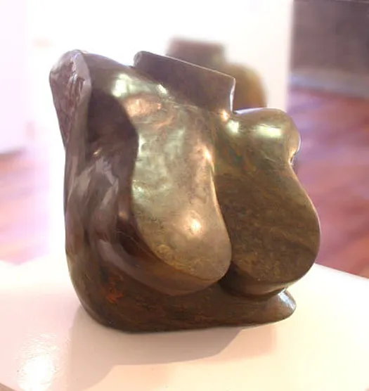 Flat Chested by Jenny Whiteside