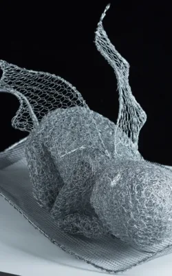 Fledgling by Vicki Combridge