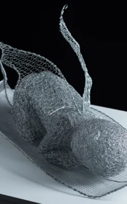 Fledgling by Vicki Combridge