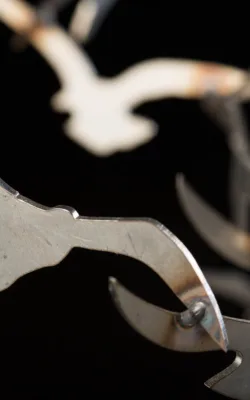 Flock by Anna Meszaros