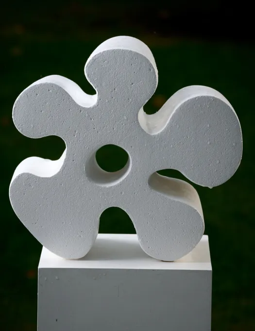 Flovid by Susie Ashkenazi