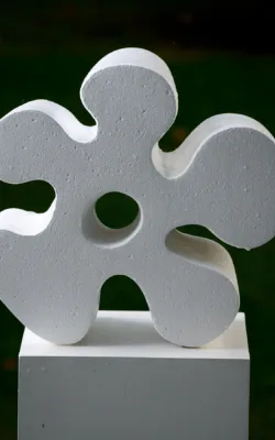 Flovid by Susie Ashkenazi