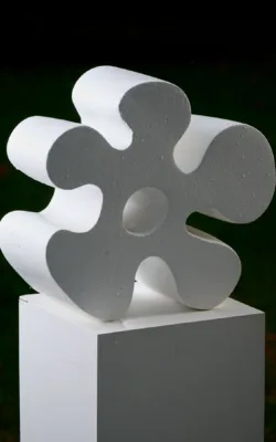 Flovid by Susie Ashkenazi