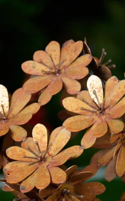Flower Power by Melanie Rayski-Mati