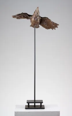 Flying Cocky by Alison Parkinson