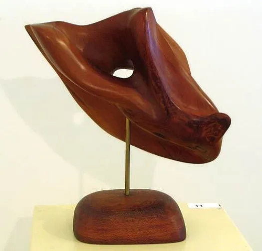 Flying by Kevin Free