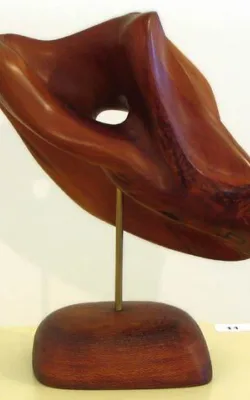 Flying by Kevin Free