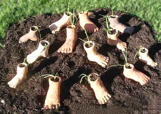 Foot prints ll - Little Feet by Meredith Plain