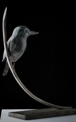 Forest Kingfisher by Lucy McEachern