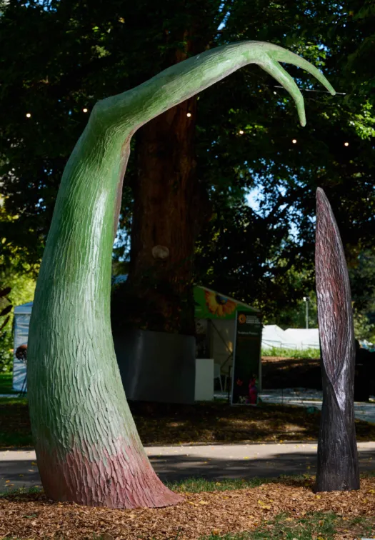 Forms of Being by Paul Jesse