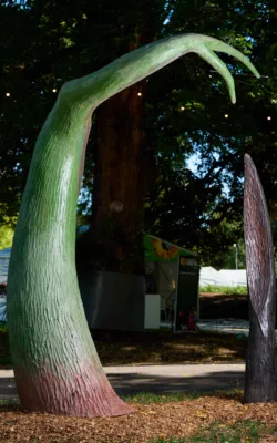 Forms of Being by Paul Jesse