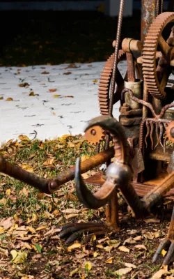 Freaky Freddie by Paul Cacioli