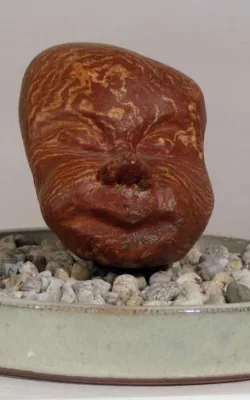 Friend of Long Ago by Geoff Williams