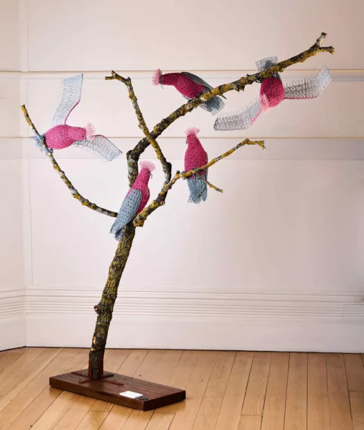 Ga Ga Galahs by Vicki Combridge