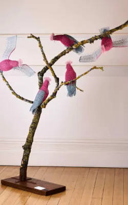 Ga Ga Galahs by Vicki Combridge