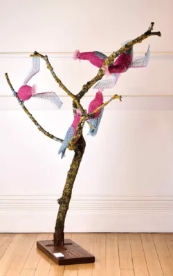 Ga Ga Galahs by Vicki Combridge