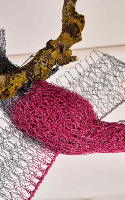 Ga Ga Galahs by Vicki Combridge