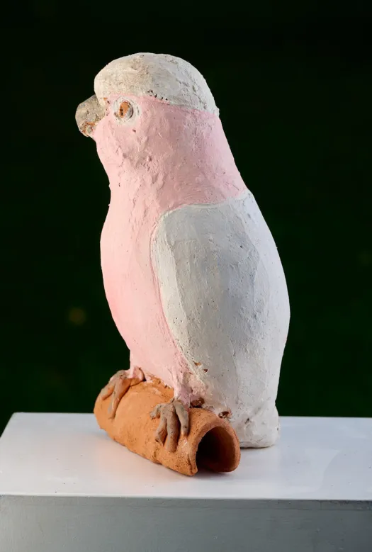 Galah by Meredith Plain