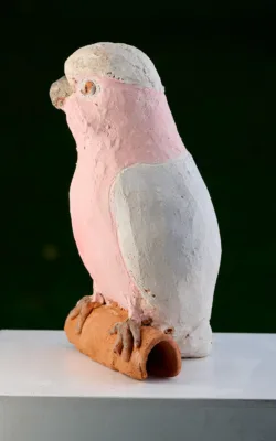 Galah by Meredith Plain