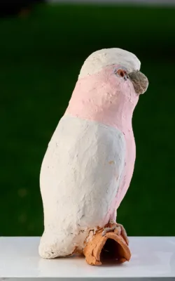 Galah by Meredith Plain