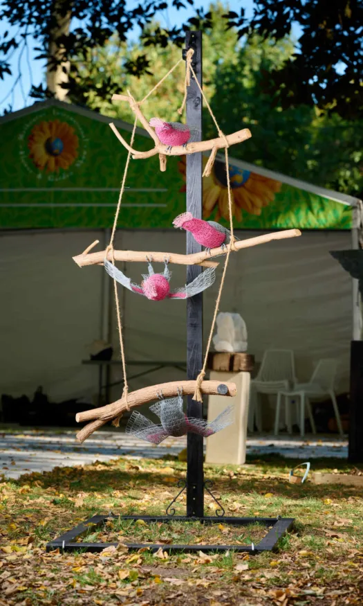 Galahing Around by Vicki Combridge