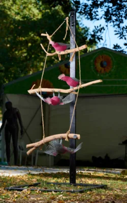 Galahing Around by Vicki Combridge