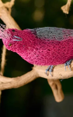 Galahing Around by Vicki Combridge