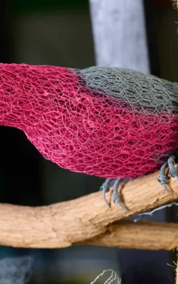 Galahing Around by Vicki Combridge