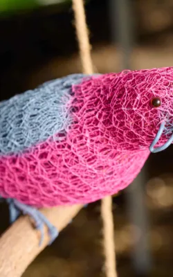 Galahing Around by Vicki Combridge