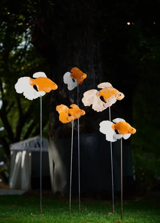 Gold Fish by Heather Wilson