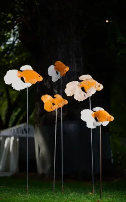 Gold Fish by Heather Wilson