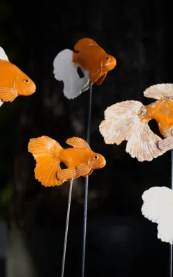Gold Fish by Heather Wilson