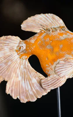 Gold Fish by Heather Wilson