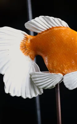 Gold Fish by Heather Wilson
