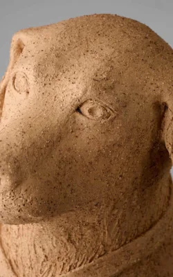 Good dog by Lucinda Brash