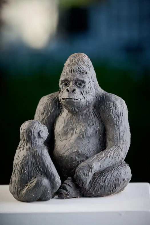 Gorillas by Damian Curtain